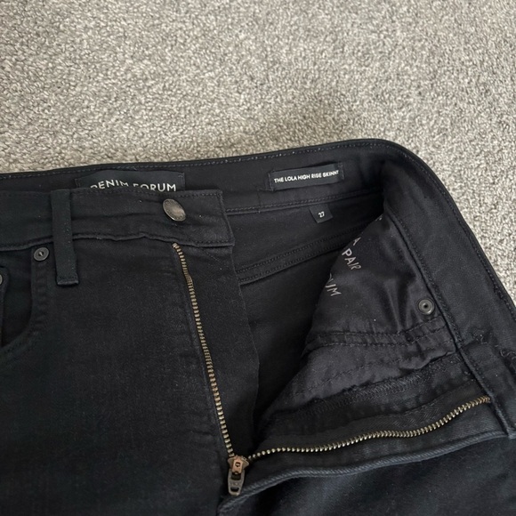 Aritzia Denim Forum Lola Skinny Jeans - Picture 7 of 9